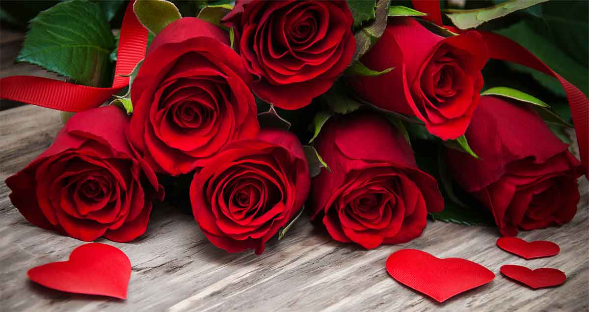 Japan Valentines Day Flowers Online