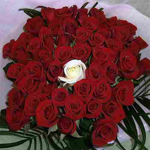 50 Rose Arrangement-Bouquet Of Red Roses Delivery