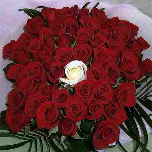Classic Red Rose Bouquets For Valentine’s Day