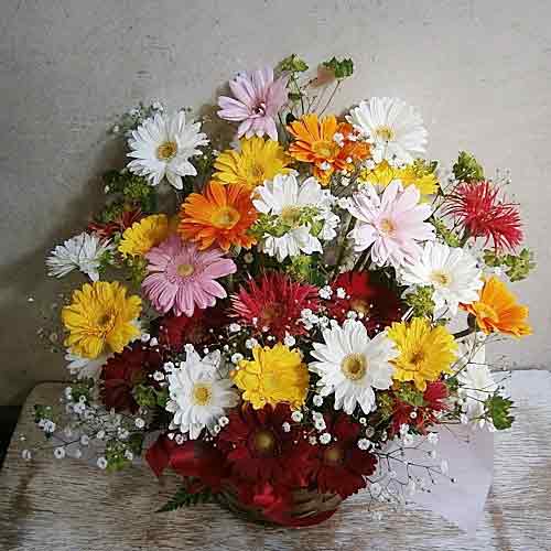 20 Mixed Color Gerbera Arrangement-Send Im Sorry Gift To Japan