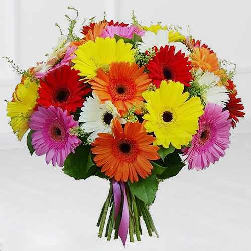 20 Mixed Gerbera Bouquet