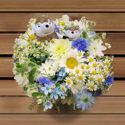 Flower With Hedgehogns-Send Relationship Flowers