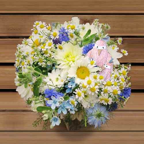 - Send Newborn Baby Flowers