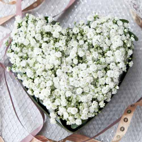 Heart Shaped White Flowers-Heart Shaped Funeral Arrangement