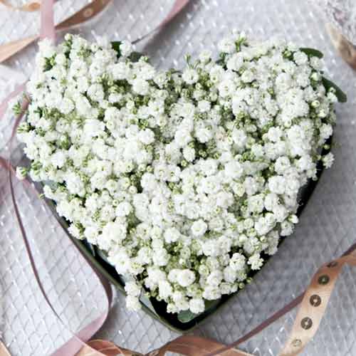 - Heart Shaped Funeral Arrangement