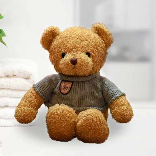 Cute Bear-Teddy Bear Gift Delivery