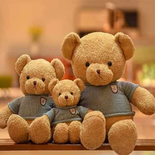 Teddy Family-Birthday Teddy Bear Delivery