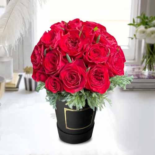 Festive Red Roses And Greenery Delivery