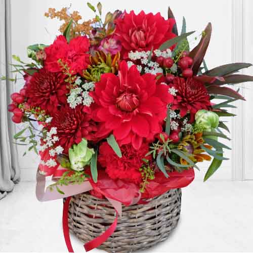 Brust Of Color-Xmas Day Flower Delivery