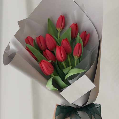 12 Red Tulip Bouquet-Send Red Tulip Bouquet
