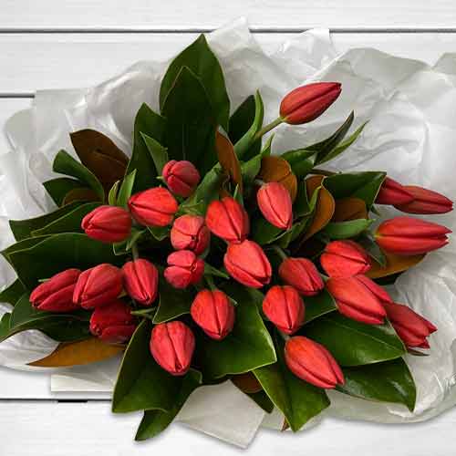 24 Red Tulip Bouquet-Last Minute Valentine's Day Flower Delivery