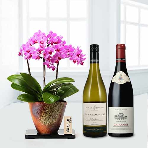 Exotic Wine and Orchid-Send Orchid Plant And Wine