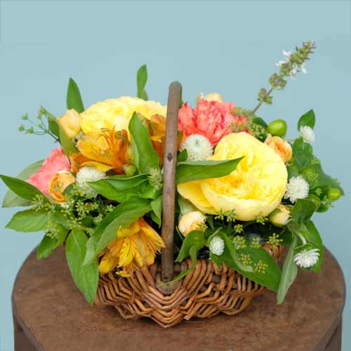 Vitamin Color Flower Basket-Grandmother Birthday Gifts