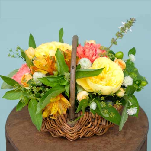 Seasonal Yellow Flowers Online