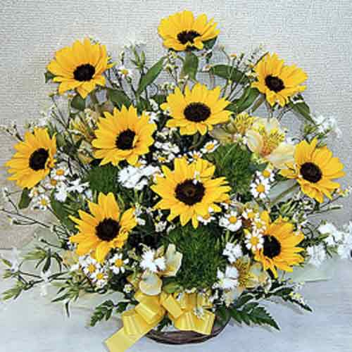 Sunflower Big Arrangement-Get Well Soon Next Day Delivery