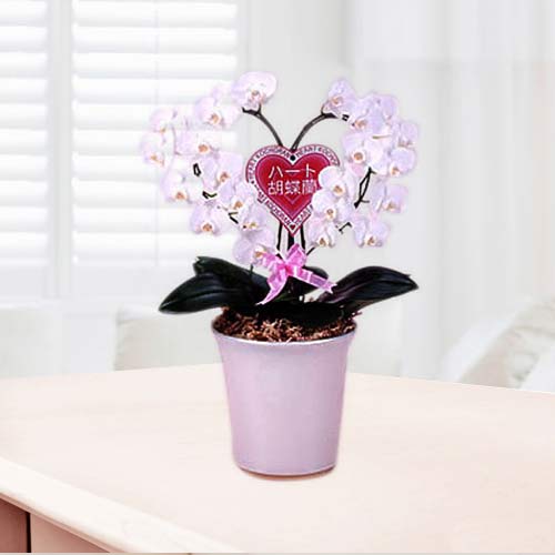 Heart Orchids-Order Anniversary Gifts Online