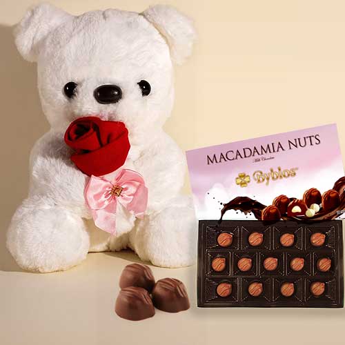 White Teddy And Milk Chocolate-Send Teddy Bear With Chocolates