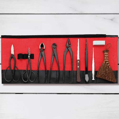- Bonsai Tools Kit Set Online