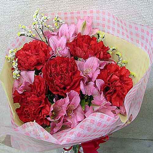 Red Carnations And Alstroemeria-First Mothers Day Gift