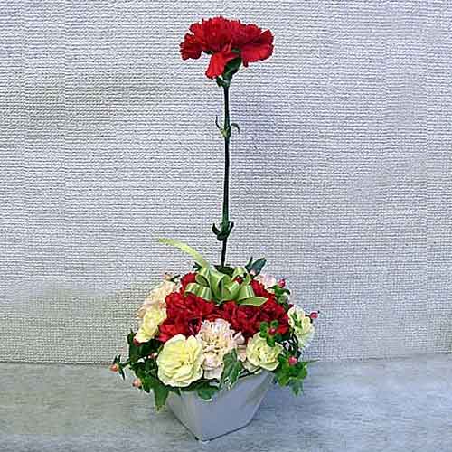 Red Carnation In Round Arrangement-Mothers Day Ideas