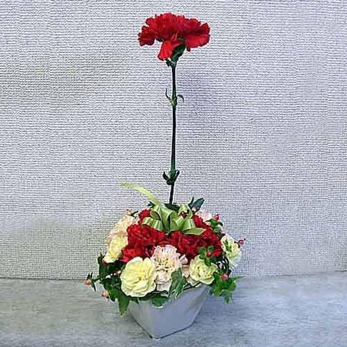 Mother’s Day Centerpiece Flowers