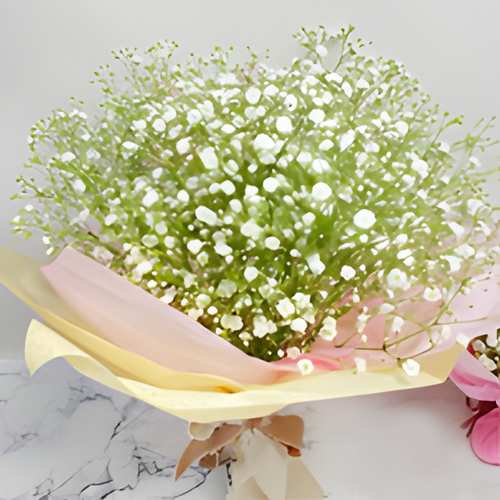 Pure Elegance Baby Breath-Send Flower Bouquet For Birthday