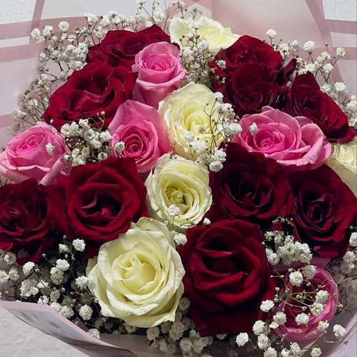 - Congratulation Roses Bouquet Delivery