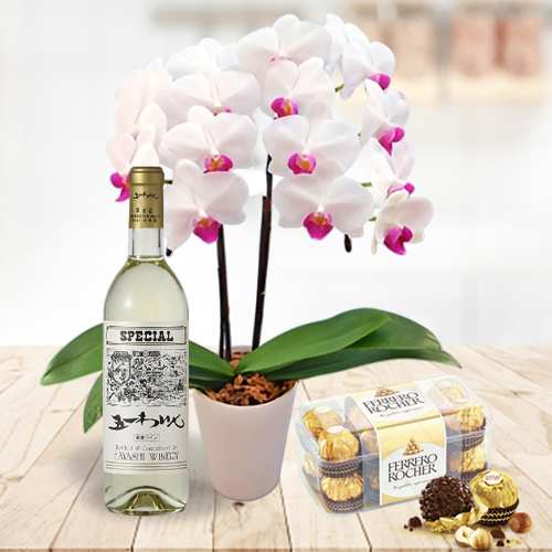 Birthday Plant Hamper