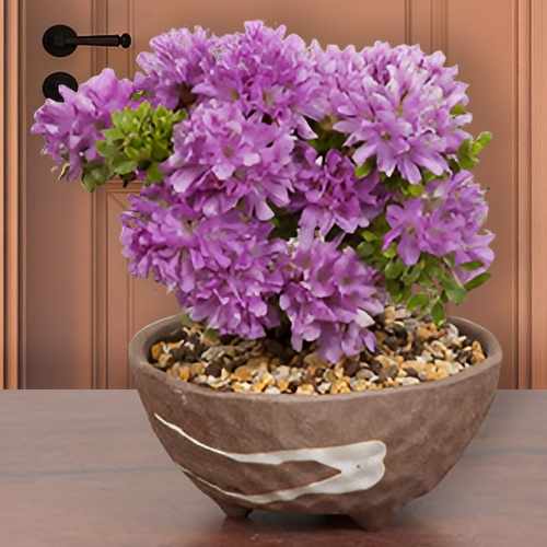 Miniature Japanese Seasonal Beauty