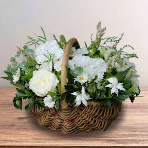 Pet Memorial Gifts