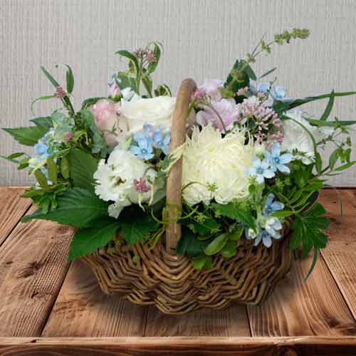 Pet Remembrance Gift