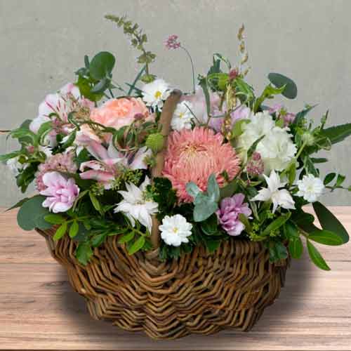 Pet Sympathy Gifts