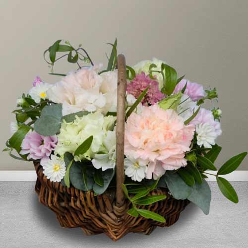 Pet Condolence Gifts