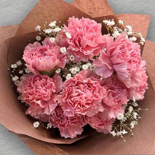 Mother’s Day Carnations Delivery