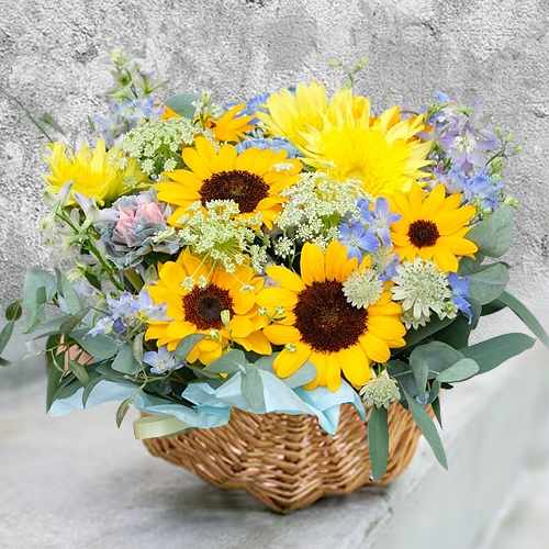 Sunflower Arrangement With Blue Accents For Japan