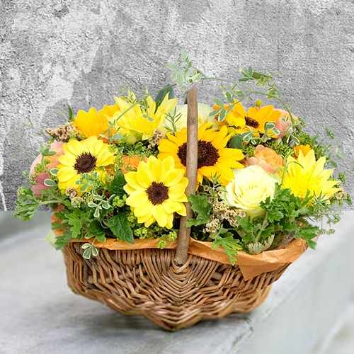 Cheerful Sunflower Floral Collection