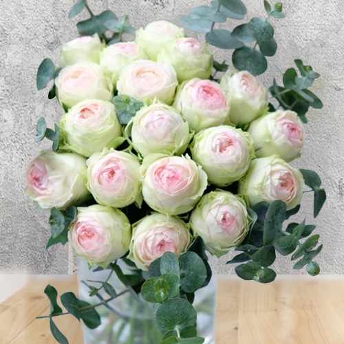 Eternal Beauty Rose Collection