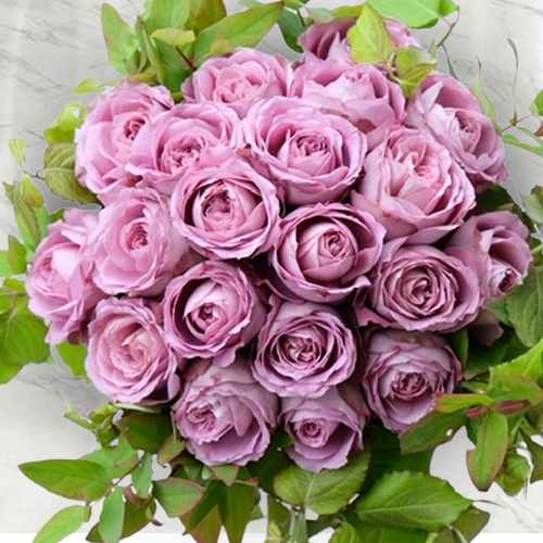 Graceful Red Rose Arrangement
