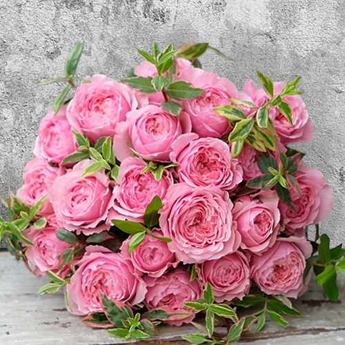 Victorian Kisses – 20 Pink Roses Bouquet With Fresh Greenery