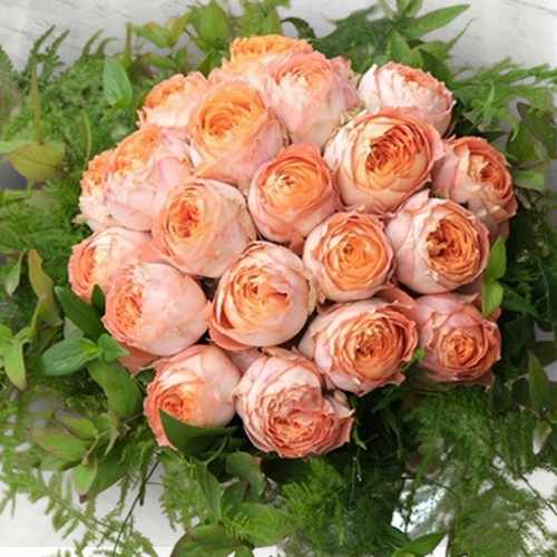 Velvet Touch Rose Arrangement