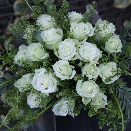 Enchanting Rose Elegance