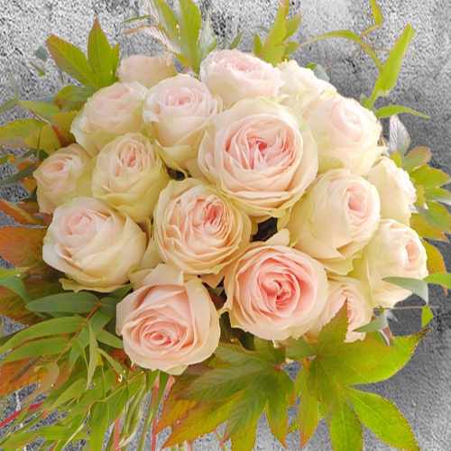 Divine Beauty Rose Arrangement