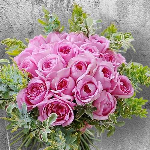 Majestic Rose Fantasy