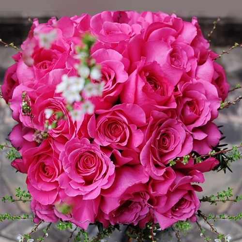 Eve Carment – 20 Fragrant Roses Bouquet With Fresh Greenery