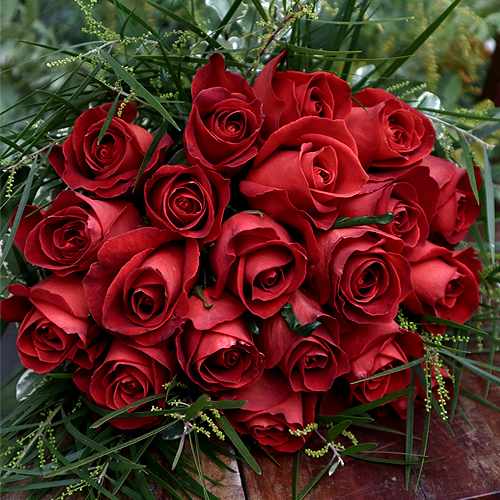Royal Classic Roses