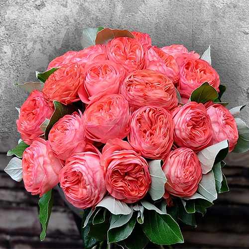 Sweetheart Classic Rose Arrangement