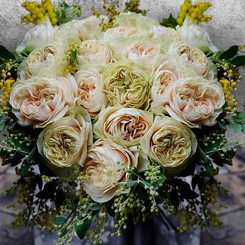 Sophisticated Rose Harmony