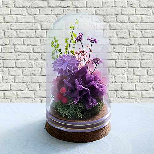 - Send Preserved Flowers Online For Housewarming