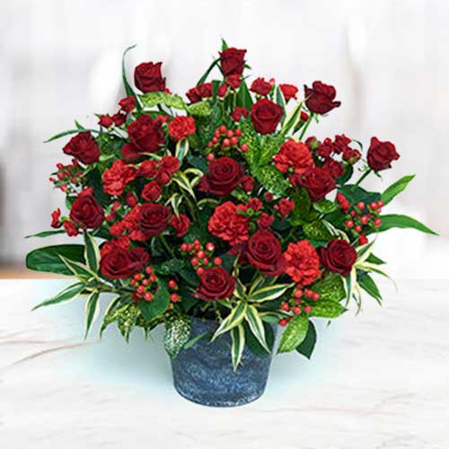 Red Rose & Carnation Baskets-Valentine Gifts For Her Delivered