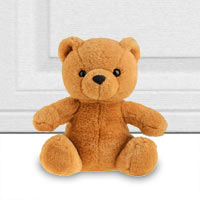 Small  Teddy Bear